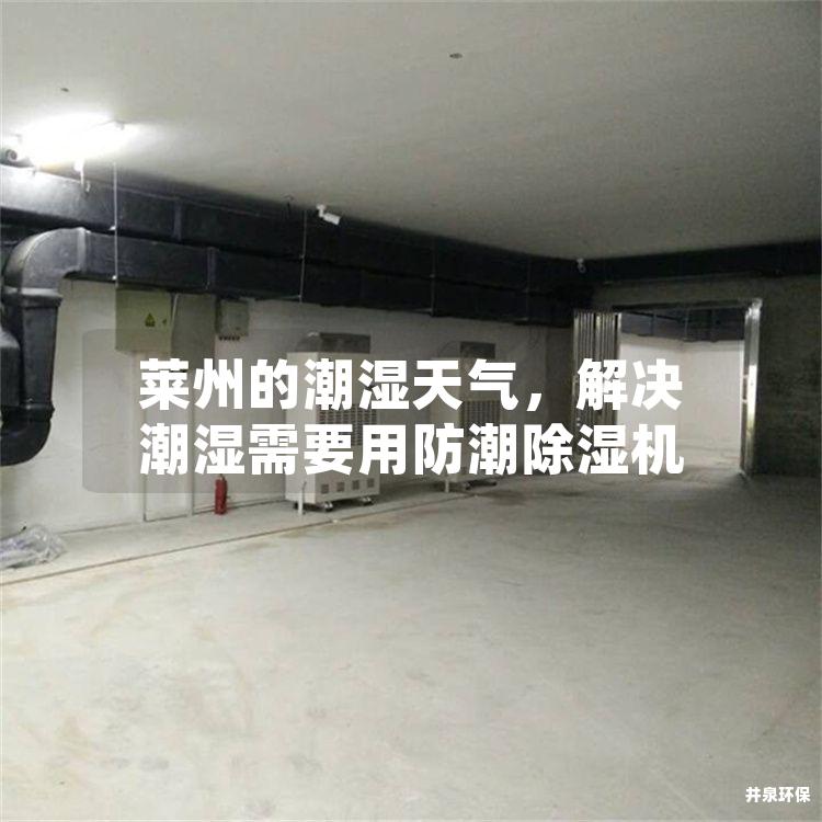 莱州的潮湿天气，解决潮湿需要用防潮除湿机