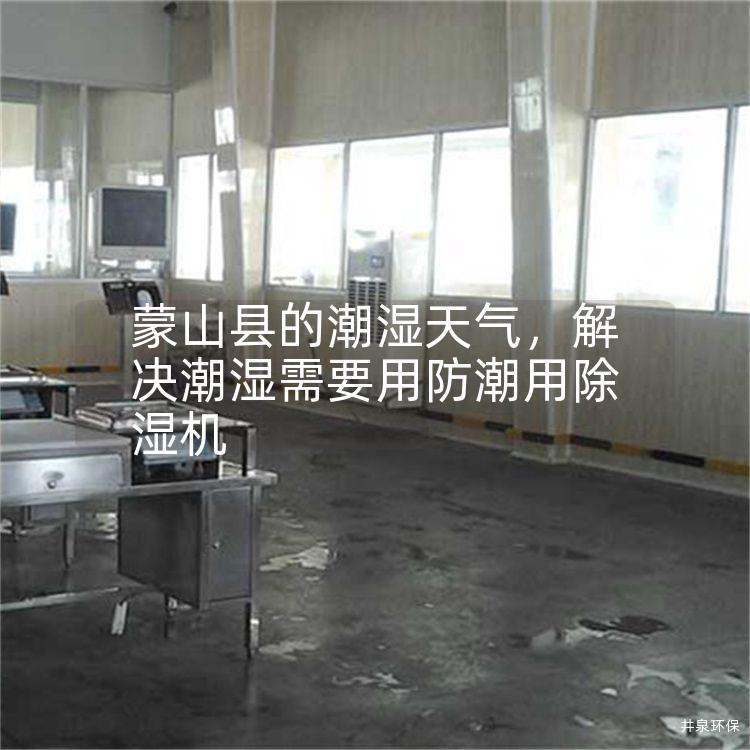 蒙山縣的潮濕天氣，解決潮濕需要用防潮用除濕機