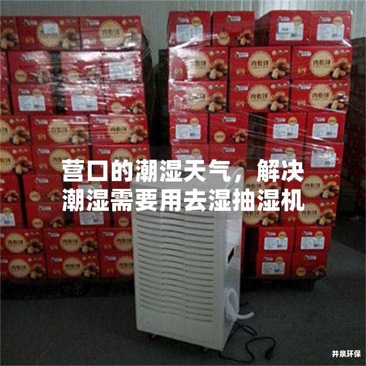 營口的潮濕天氣，解決潮濕需要用去濕抽濕機