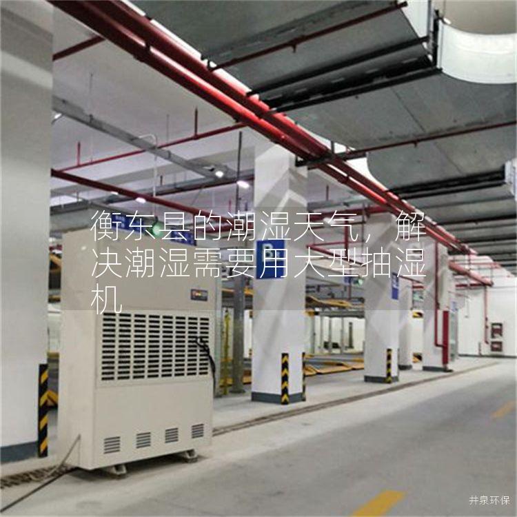 衡东县的潮湿天气，解决潮湿需要用大型抽湿机