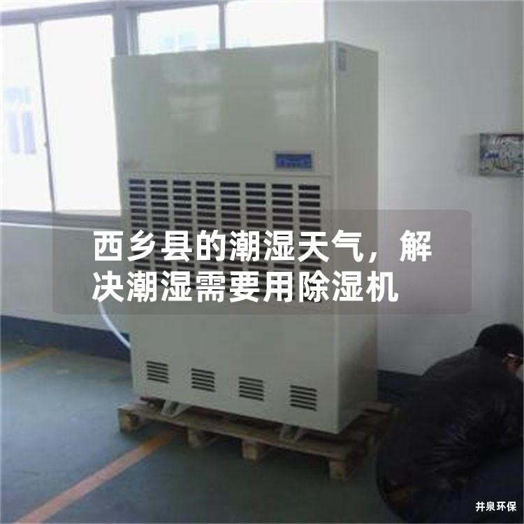 西乡县的潮湿天气，解决潮湿需要用除湿机