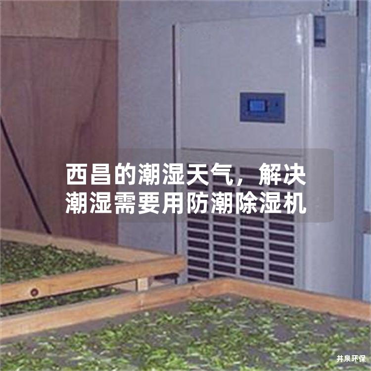 西昌的潮濕天氣，解決潮濕需要用防潮除濕機