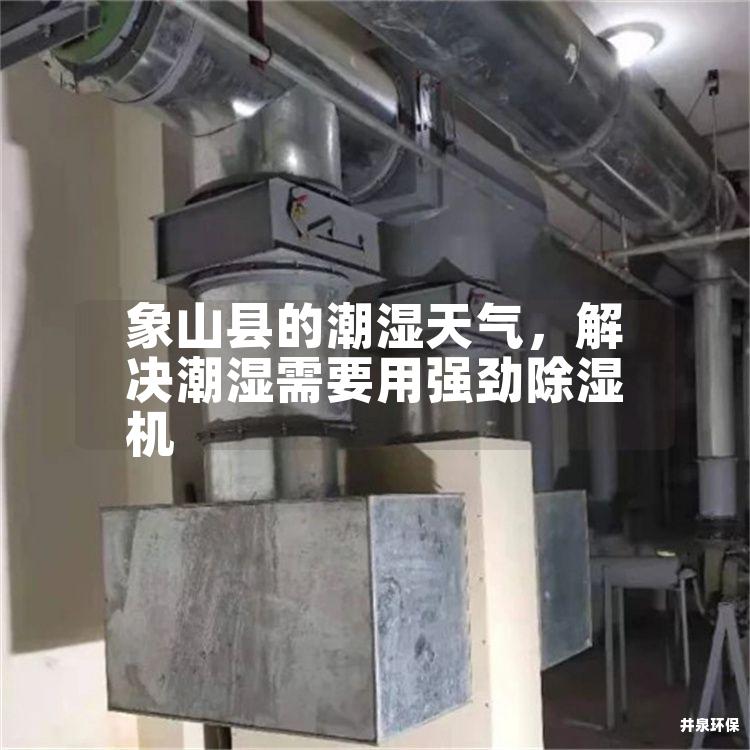 象山縣的潮濕天氣，解決潮濕需要用強勁除濕機