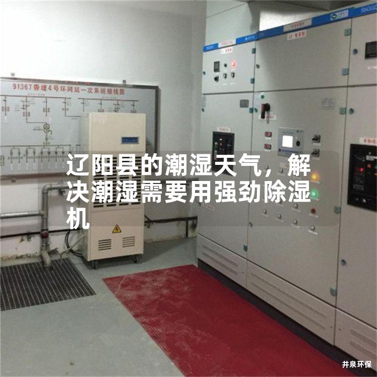 遼陽縣的潮濕天氣，解決潮濕需要用強勁除濕機