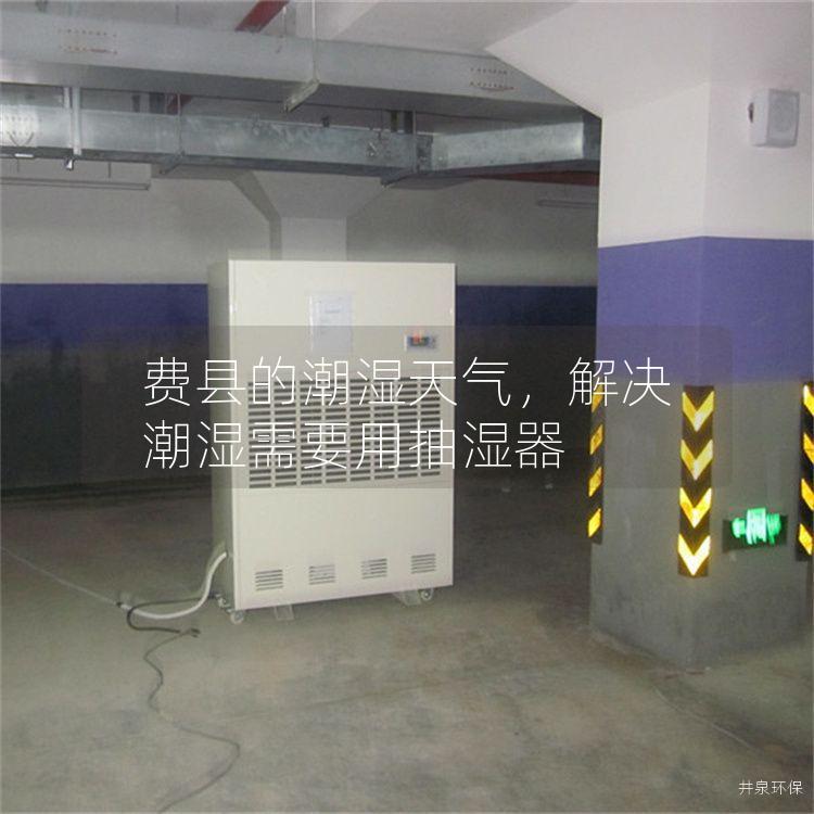 費(fèi)縣的潮濕天氣，解決潮濕需要用抽濕器