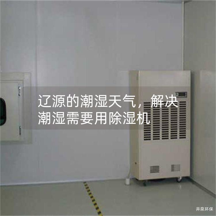 辽源的潮湿天气，解决潮湿需要用除湿机
