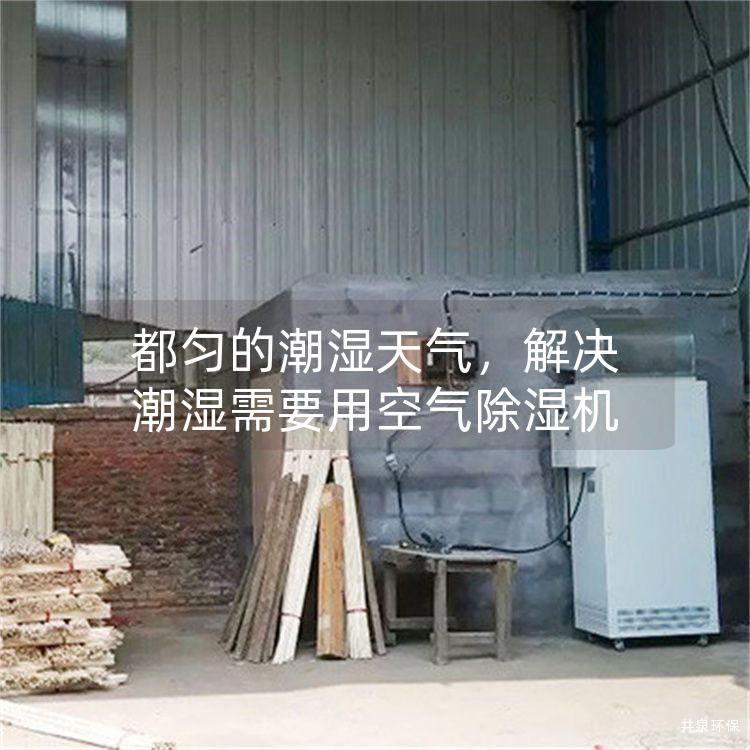 都匀的潮湿天气,解决潮湿需要用空气除湿机 都匀的潮湿天气,解决潮湿需要用空气除湿机