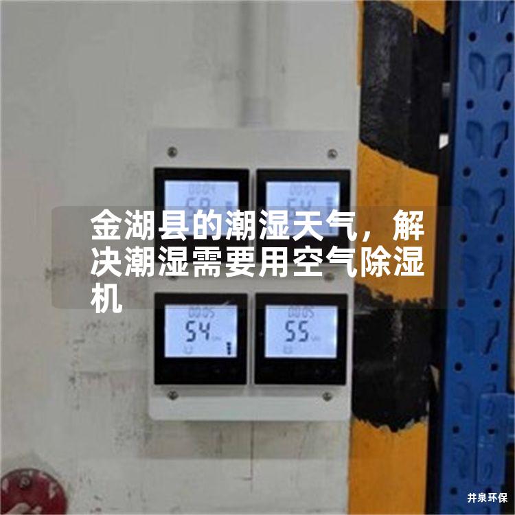 金湖县的潮湿天气，解决潮湿需要用空气除湿机