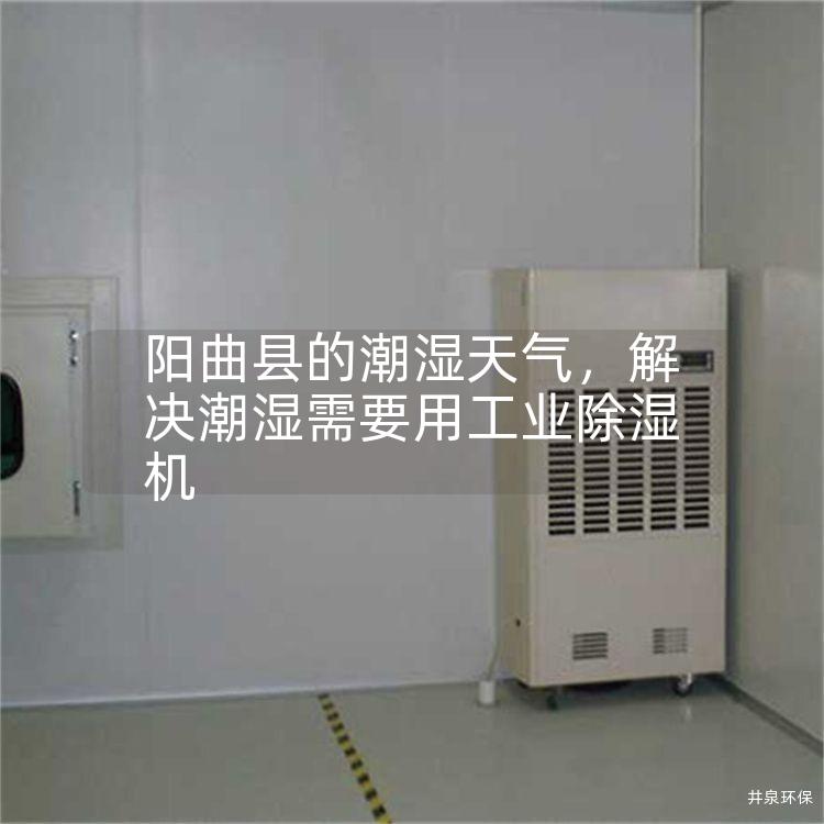 阳曲县的潮湿天气，解决潮湿需要用工业除湿机