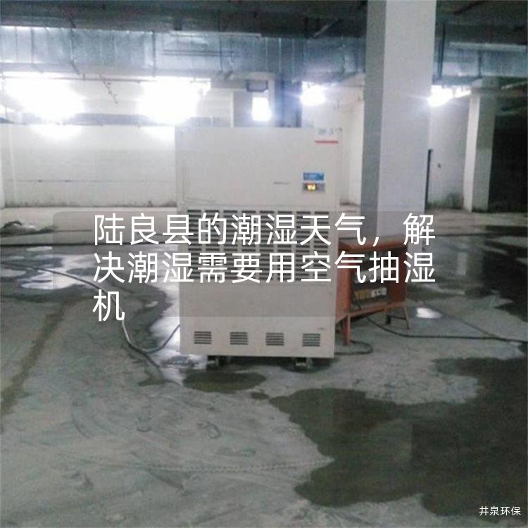 陆良县的潮湿天气，解决潮湿需要用空气抽湿机