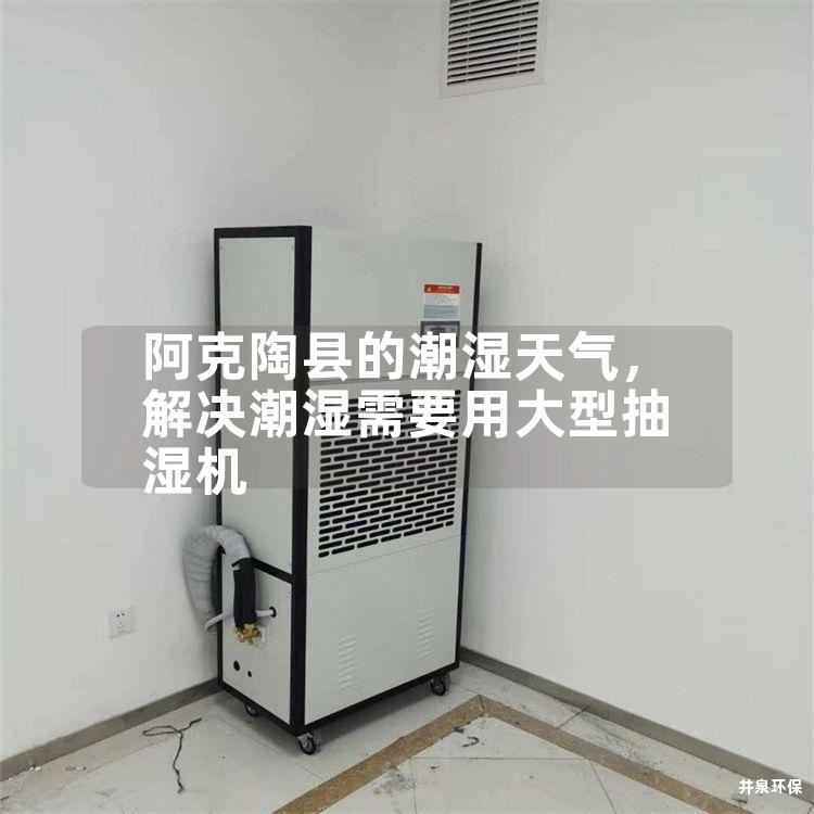 阿克陶县的潮湿天气，解决潮湿需要用大型抽湿机