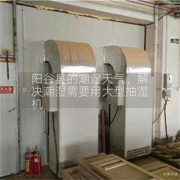 陽谷縣的潮濕天氣，解決潮濕需要用大型抽濕機(jī)