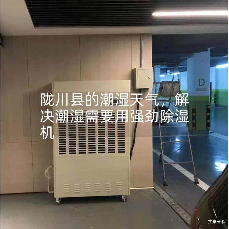 陇川县的潮湿天气，解决潮湿需要用强劲除湿机