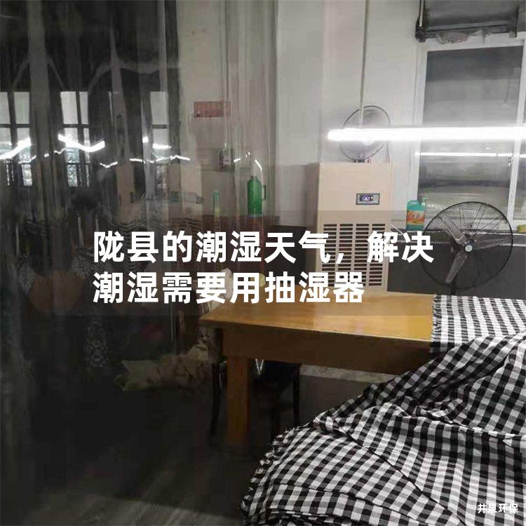 陇县的潮湿天气，解决潮湿需要用抽湿器