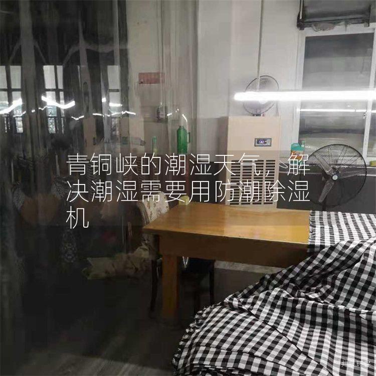青铜峡的潮湿天气，解决潮湿需要用防潮除湿机