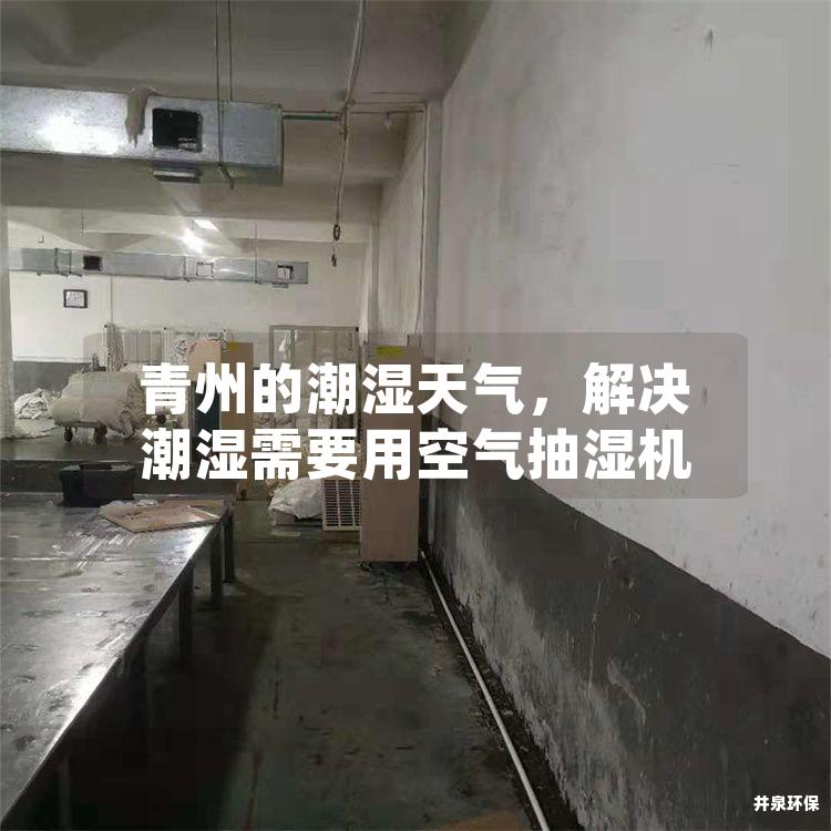 青州的潮湿天气，解决潮湿需要用空气抽湿机