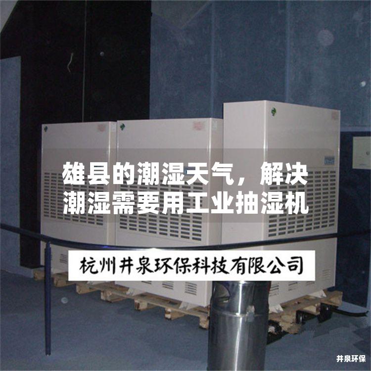 雄县的潮湿天气，解决潮湿需要用工业抽湿机