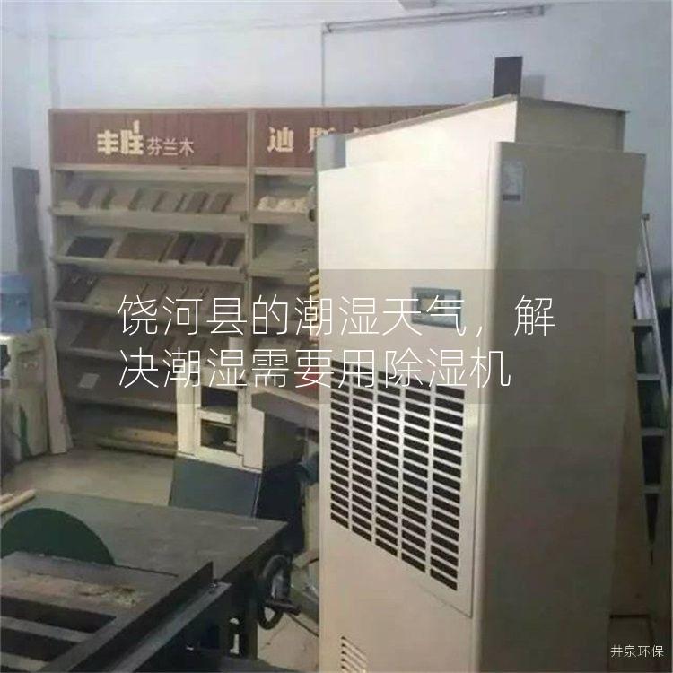 饶河县的潮湿天气，解决潮湿需要用除湿机