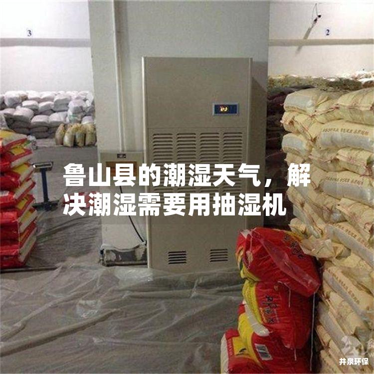 鲁山县的潮湿天气，解决潮湿需要用抽湿机