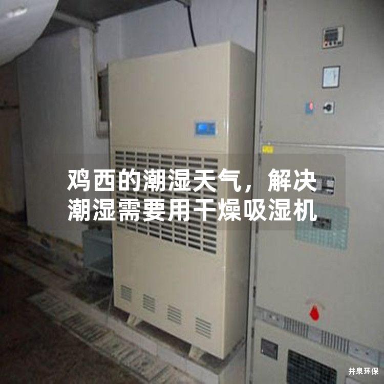 雞西的潮濕天氣，解決潮濕需要用干燥吸濕機(jī)