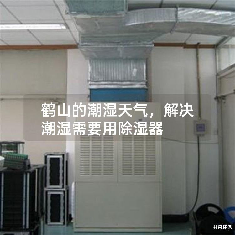 鶴山的潮濕天氣，解決潮濕需要用除濕器