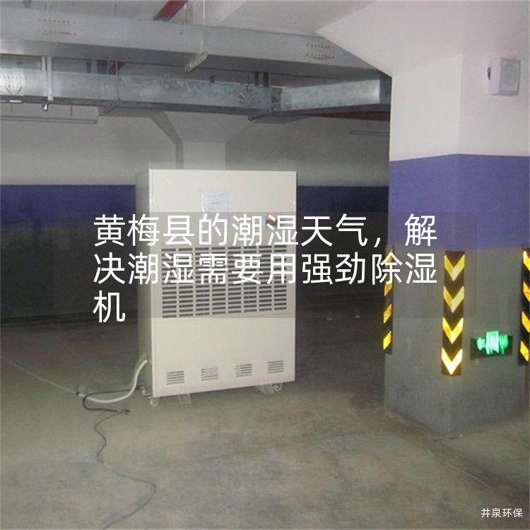 黄梅县的潮湿天气，解决潮湿需要用强劲除湿机