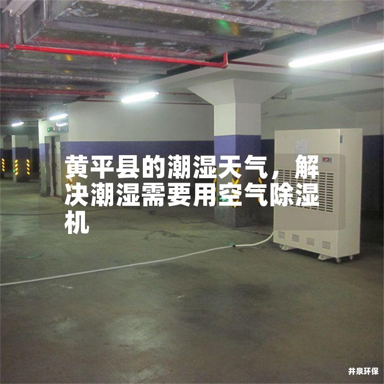 黃平縣的潮濕天氣，解決潮濕需要用空氣除濕機