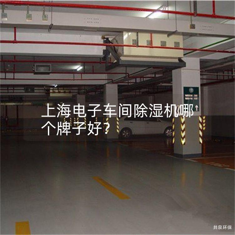 上海电子车间除湿机哪个牌子好？