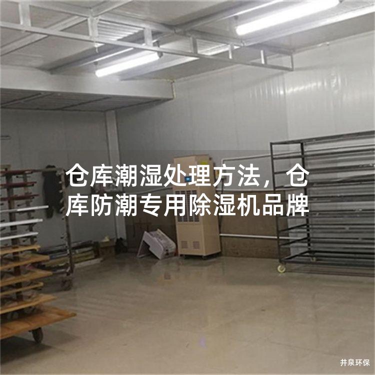 仓库潮湿处理方法，仓库防潮专用除湿机品牌