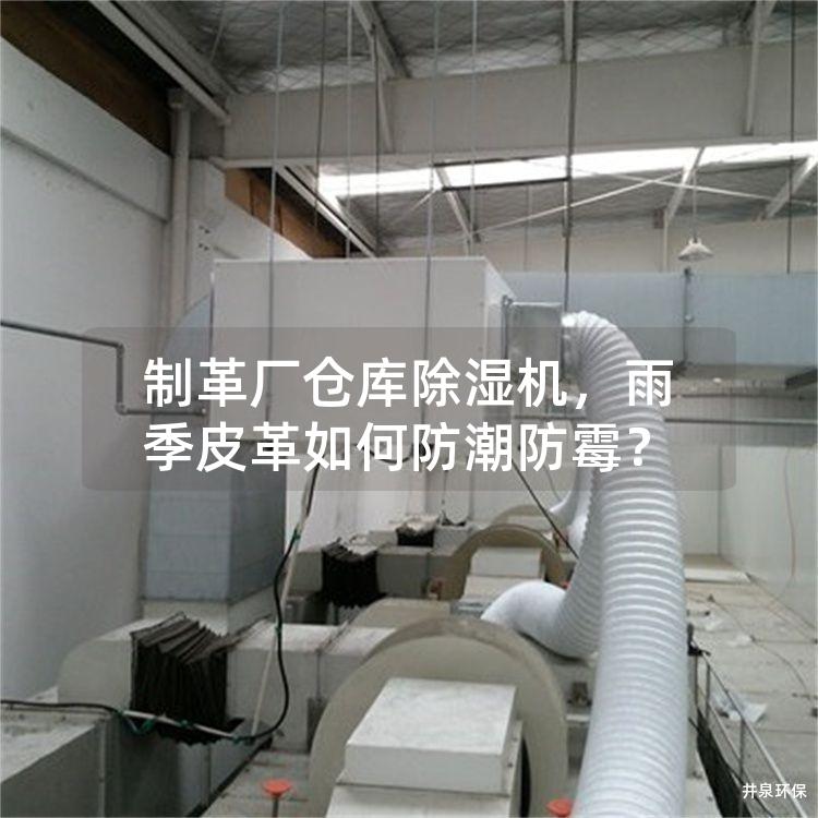 制革厂仓库除湿机，雨季皮革如何防潮防霉？