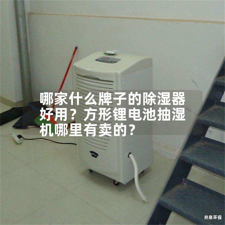 哪家什么牌子的除湿器好用？方形锂电池抽湿机哪里有卖的？
