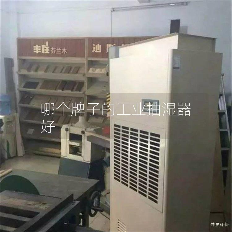 哪个牌子的工业抽湿器好