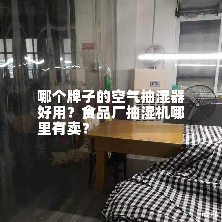 哪个牌子的空气抽湿器好用？食品厂抽湿机哪里有卖？