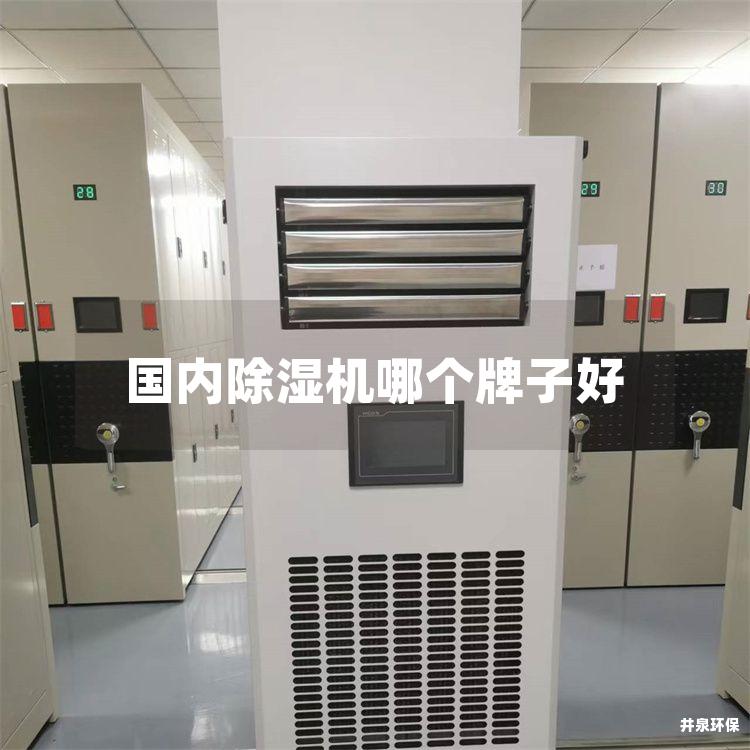 国内除湿机哪个牌子好