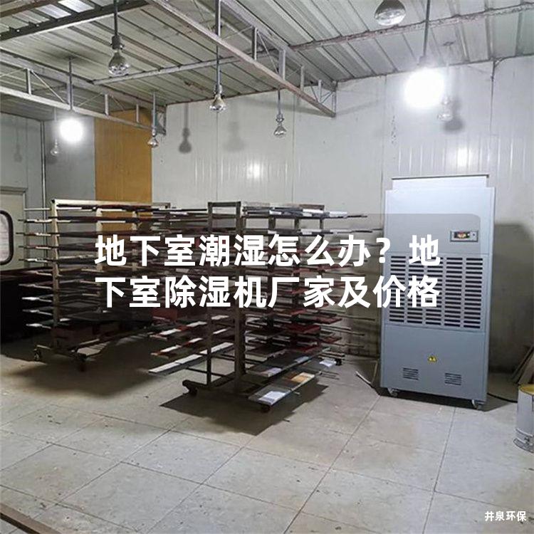 地下室潮湿怎么办？地下室除湿机厂家及价格