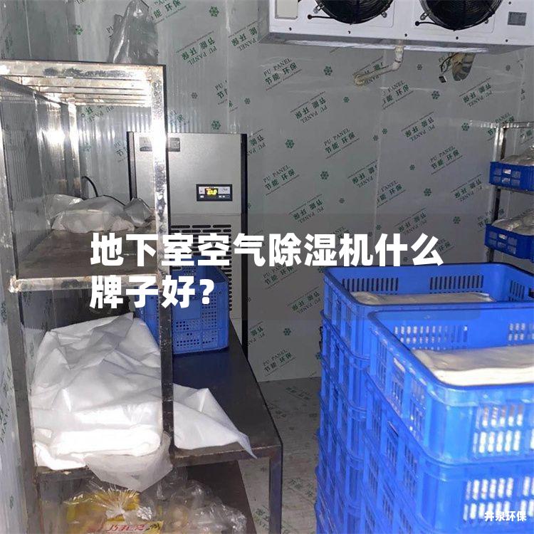 地下室空气除湿机什么牌子好？