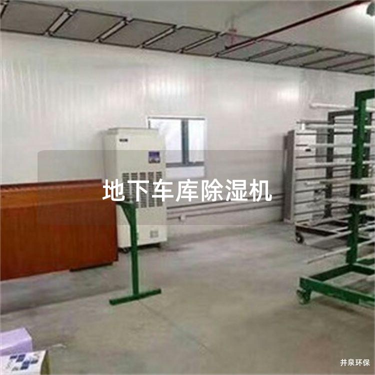 地下车库除湿机