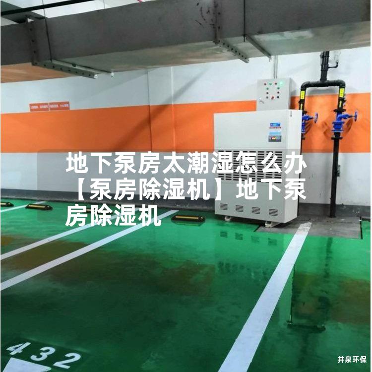 地下泵房太潮湿怎么办【泵房除湿机】地下泵房除湿机 地下泵房太潮湿怎么办【泵房除湿机】地下泵房除湿机