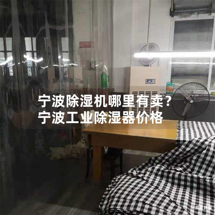 宁波除湿机哪里有卖？宁波工业除湿器价格