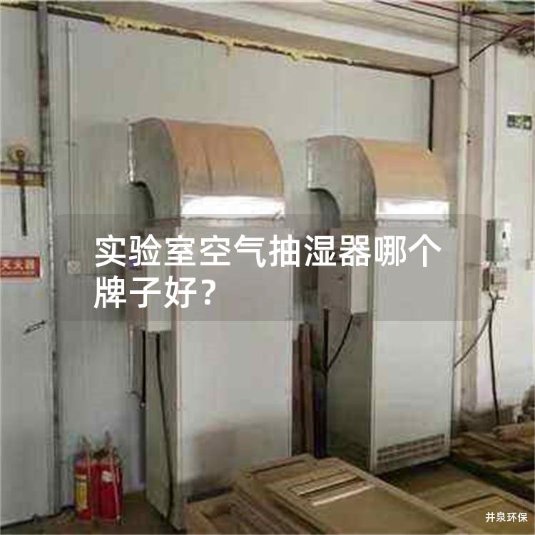 实验室空气抽湿器哪个牌子好？