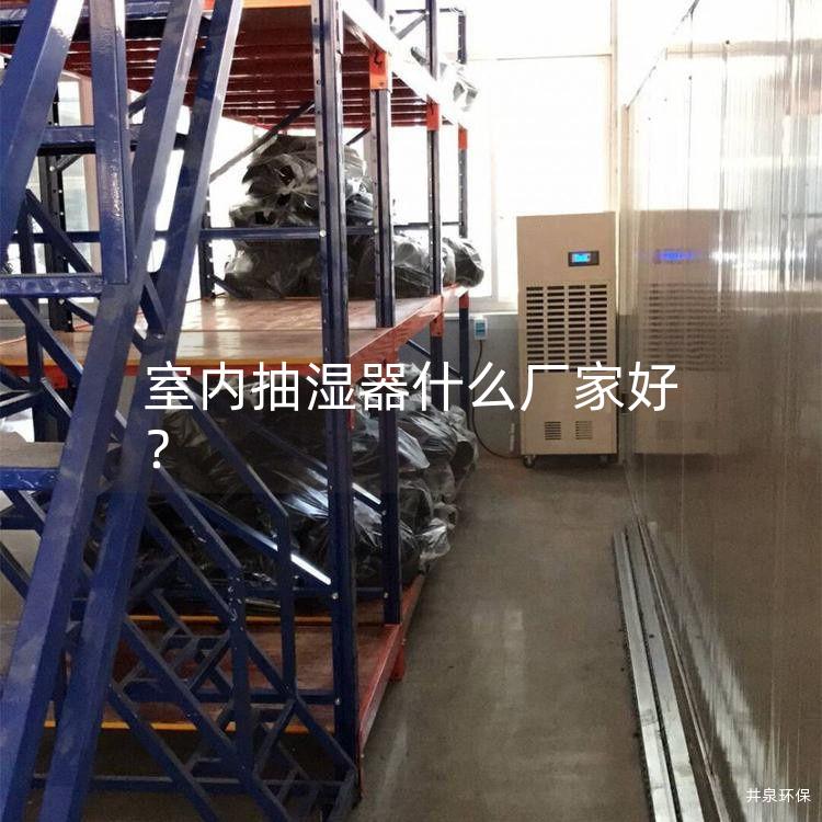 室内抽湿器什么厂家好？