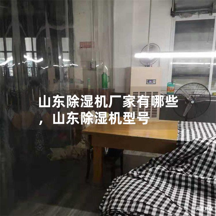 山东除湿机厂家有哪些，山东除湿机型号