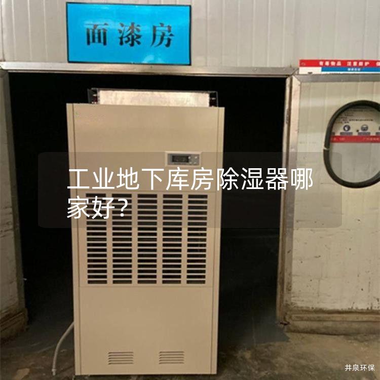 工业地下库房除湿器哪家好？