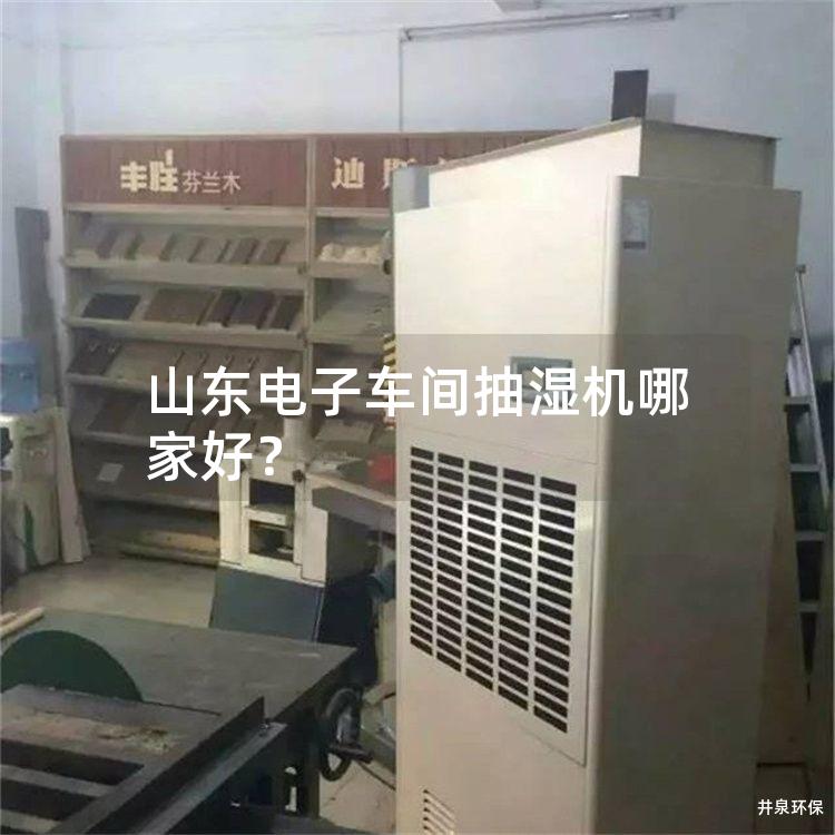 山东电子车间抽湿机哪家好？