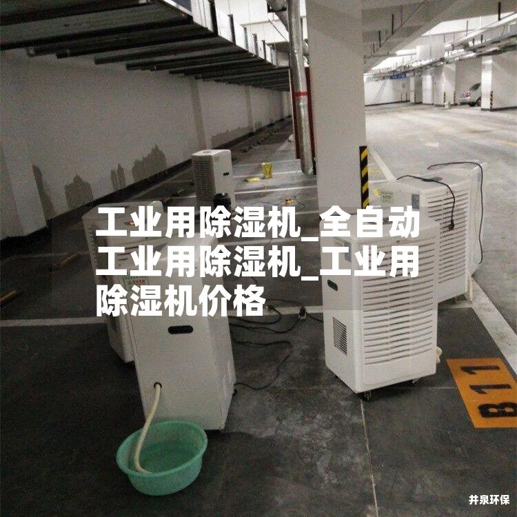 工業(yè)用除濕機_全自動工業(yè)用除濕機_工業(yè)用除濕機價格