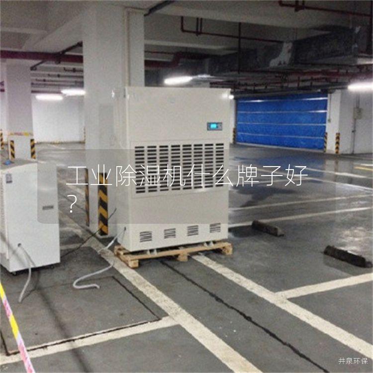 工業除濕機什么牌子好？