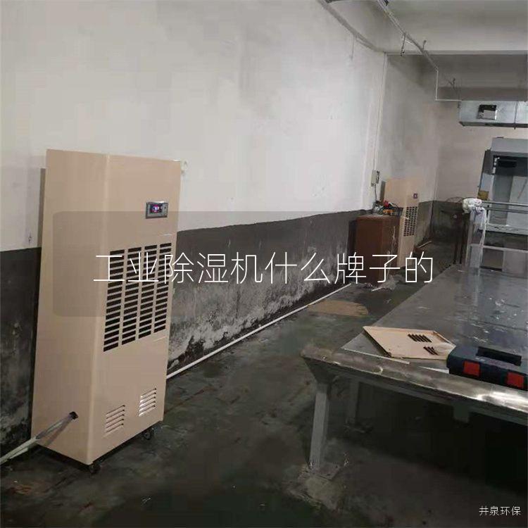 工业除湿机什么牌子的