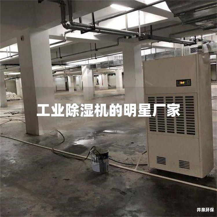 工业除湿机的明星厂家