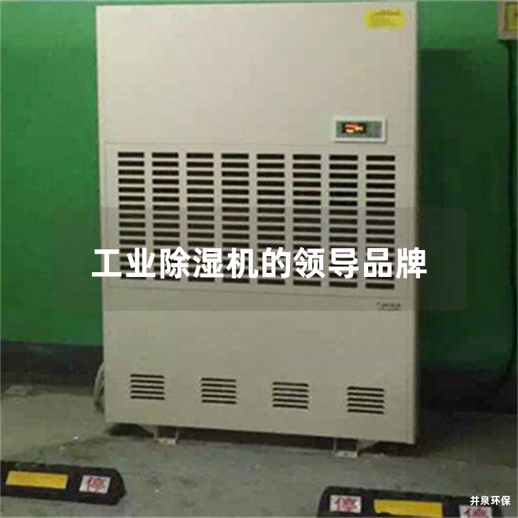 工業(yè)除濕機的領(lǐng)導(dǎo)品牌