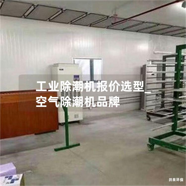 工业除潮机报价选型_空气除潮机品牌